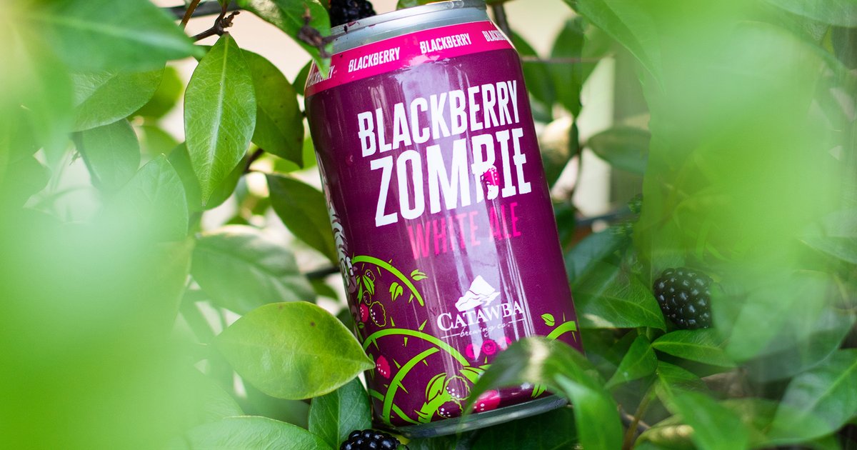 Blackberry Zombie Catawba Brewing